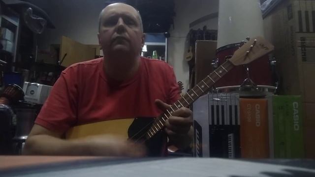 Балалайка DOFF BSS - нетрадиционный строй))