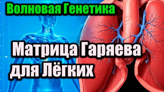 Матрица Гаряева для лёгких .Волновая генетика