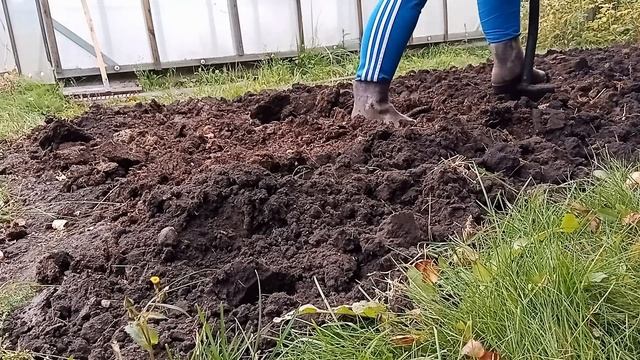 Подготовка грядки под чеснок осенью
