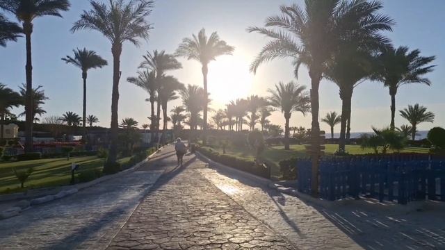 Египет. GRAND OASIS RESORT 4*. Обзор отеля и номера. Sharm El Sheikh Март 2024