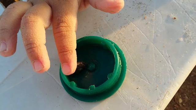 Саша Палеонтолог на море поймал рака-отшельника!