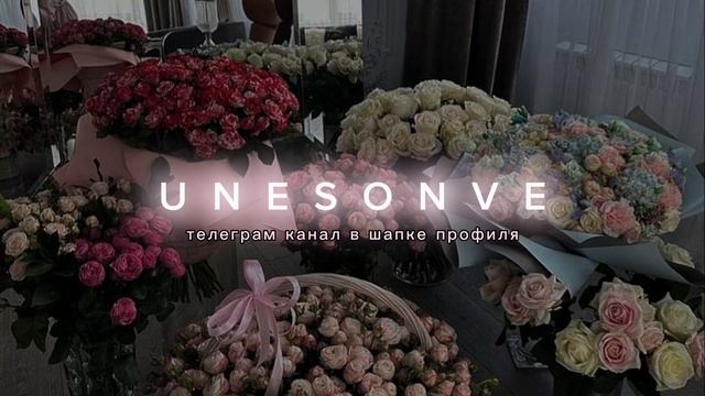 Славик Хитов, Тембот Беданоков - Суета