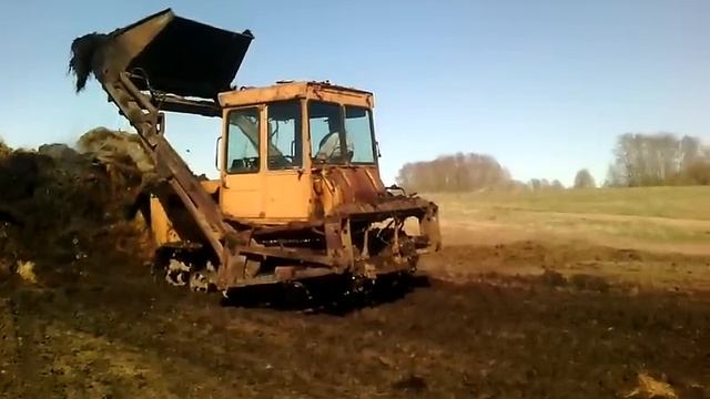 дт-75 погрузка