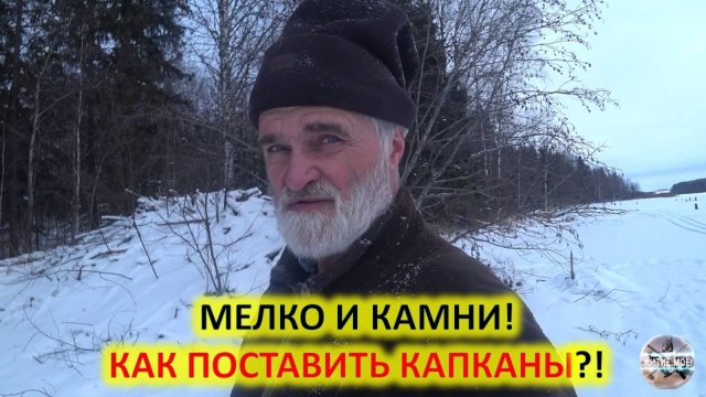 Зимняя охота на бобра с капканами. Проверка капканов на бобра.