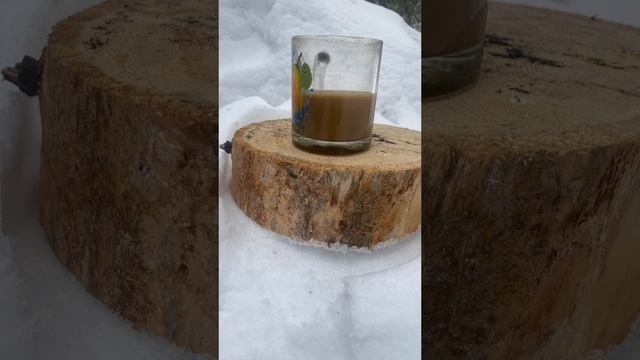 Отдых в тайге зимой