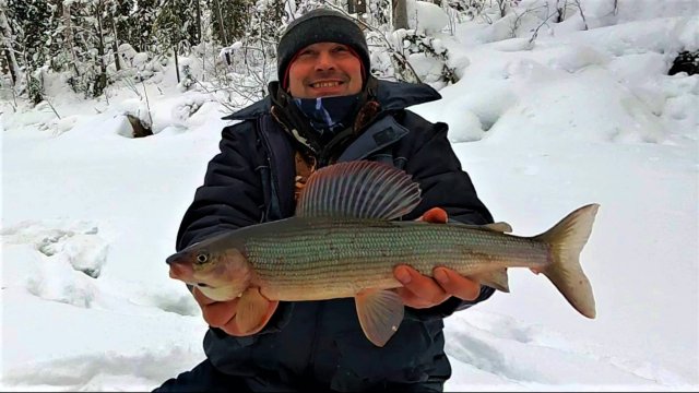 Январская рыбалка на лесной речке \ 4 дня в поисках ХАРИУСА \ Часть 2 \ Нашли крупняк