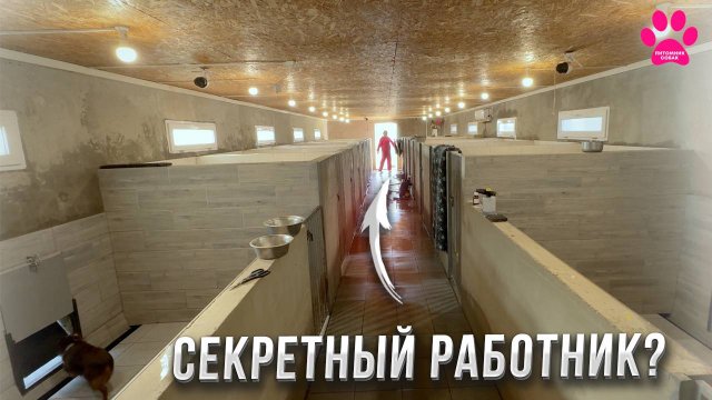Наняли работника? Кто этот человек, который убирается в двух питомниках?