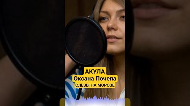 АКУЛА ( Оксана Почепа ) - Слезы на морозе  #акула #оксанапочепа #2000s #90smusic #thebest #bestmusi