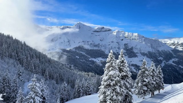 Самый красивый снежный поезд Швейцарии - Кляйне Шайдегг, с которого открываются живописные виды.