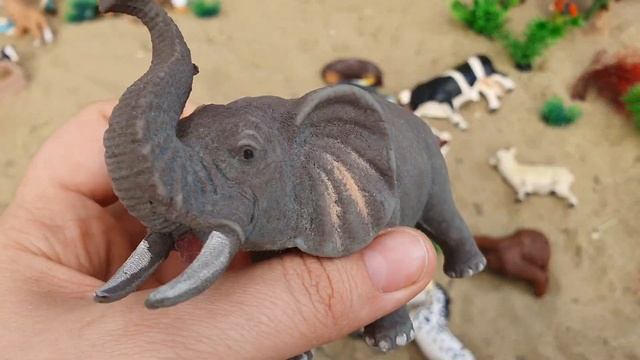 Сельскохозяйственные и Дикие животные!  Звуки животных - Корова Панда Крокодил Зебра Слон Волк