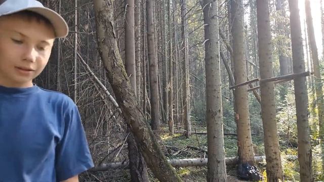 Строительство дома на дереве. Часть 2.