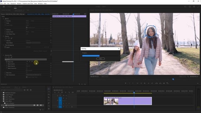 Как заблюрить лицо в Premiere Pro (просто) | Уроки Adobe Premiere Pro