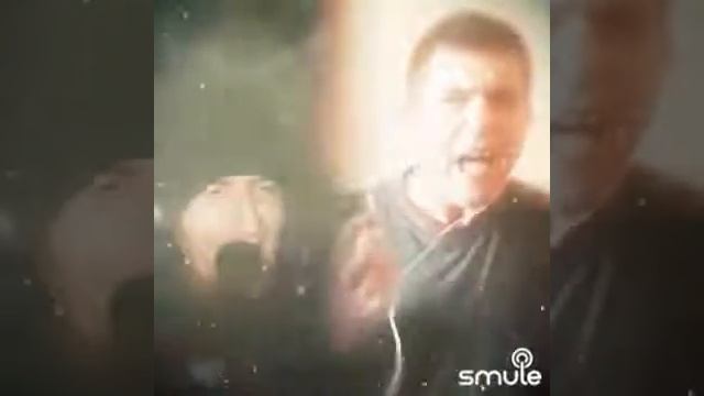 Никогда, никогда, никогда