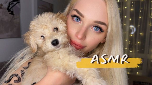 АСМР УЮТНЫЙ ШЕПОТ 🕯️💛/ Триггеры для сна 😴 / ASMR 💤🐶