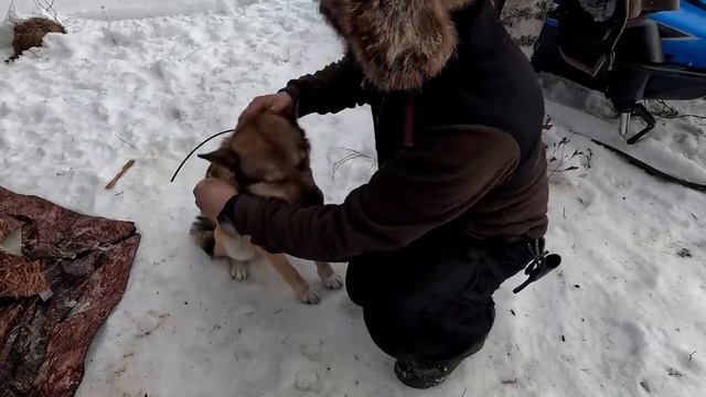 НАШЛИ СТАРИННУЮ ИЗБУ В ГЛУХОЙ ТАЙГЕ. ИЗБУШКА В ГЛУШИ. НАХОДКА В ТАЙГЕ