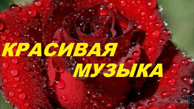 Сборник лучших мелодий саксофона💝Красота какая !!! Saxophone music
