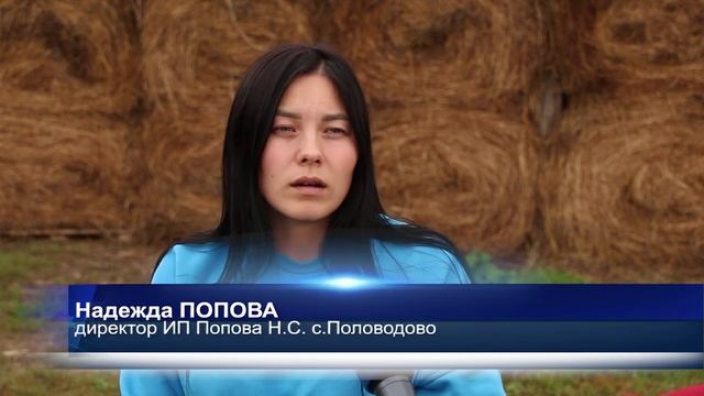 Урожай 2023. В Пермском крае продолжается уборочная компания