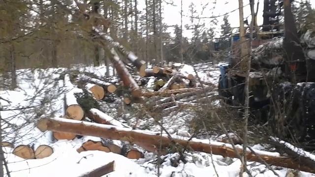 Урал лесовоз погрузка леса