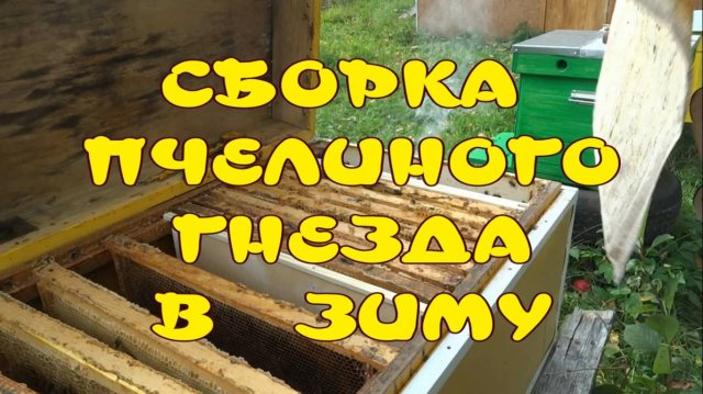 СБОРКА ПЧЕЛИНОГО ГНЕЗДА В ЗИМУ. КАК СОБРАТЬ ПЧЁЛ В ЗИМУ