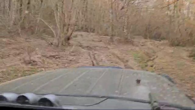 Лесные покатушки