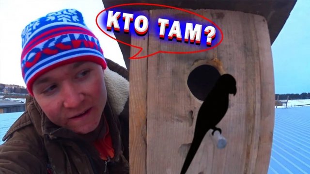 Как сделать СКВОРЕЧНИК своими руками / Как сделать СКВОРЕЧНИК в Домашних Условиях