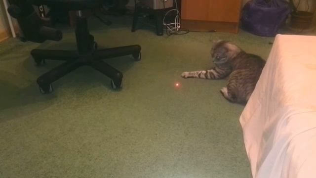 Катэ