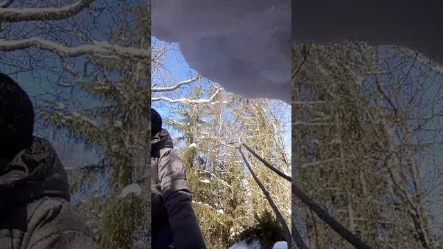 база
