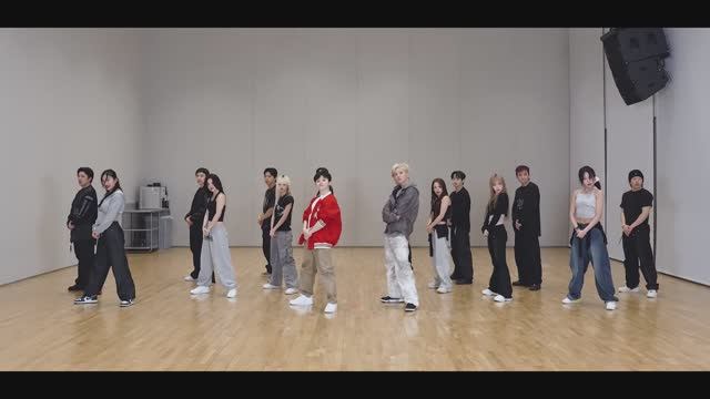 HOSHI X WOOZI - STUPID IDIOT Dance Practice MIRRORED
