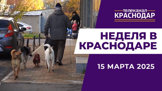 НЕДЕЛЯ В КРАСНОДАРЕ 15-03-2025