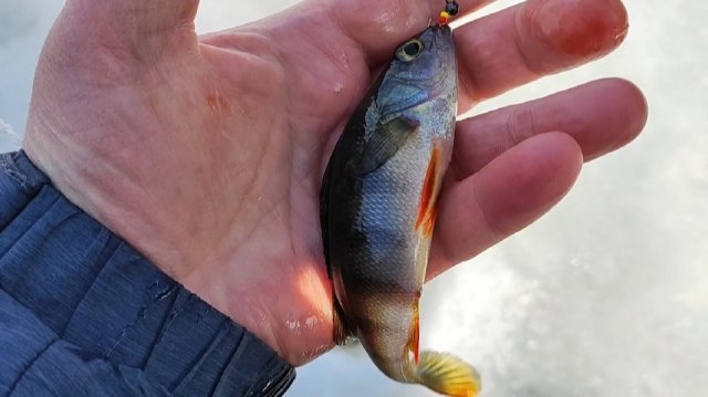 Наедине с природой...