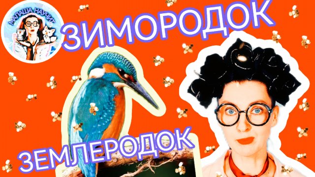 МАЛАША НАУЧИТ - ЗИМОРОДОК