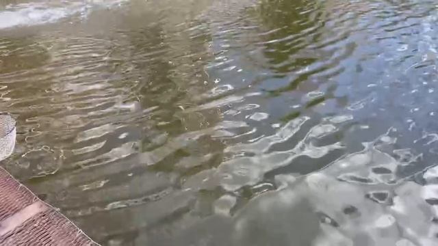 2_5390974805988107368