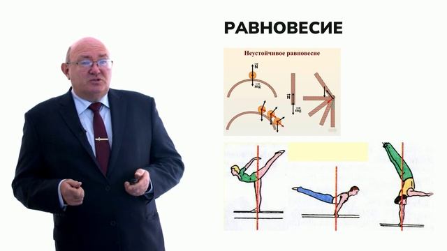 1.1 Анатомия