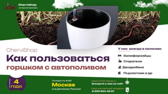 Горшок с автополивом для комнатных растений