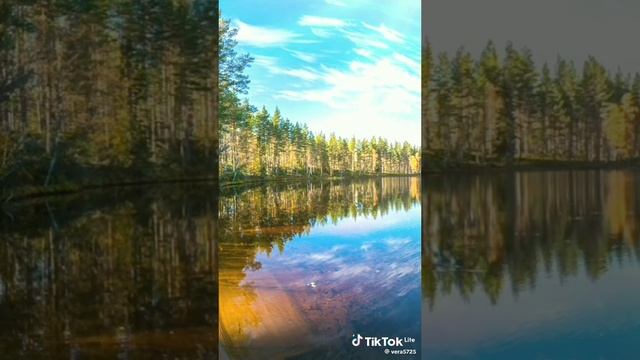 Россия