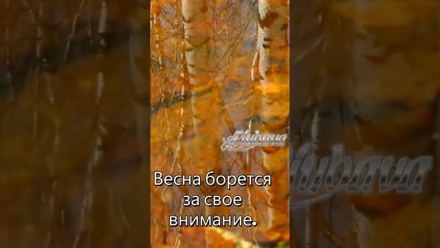 Весна, танец теней и светлых мечтаний.