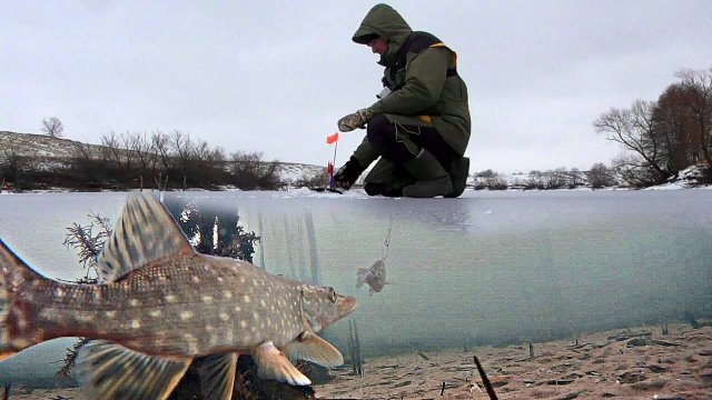 МОЩНАЯ АТАКА ЩУКИ! Ловля Щуки на Живца!