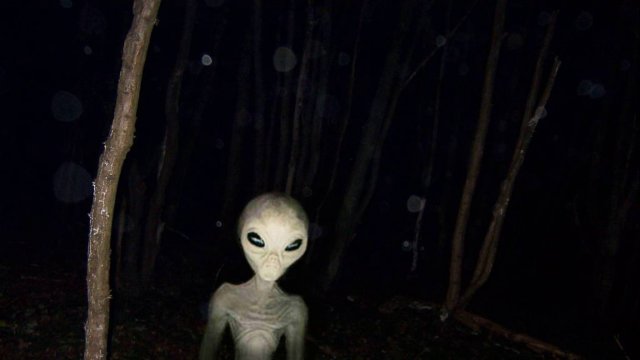 Инопланетяне и гуманоиды, которых засняли на видео
