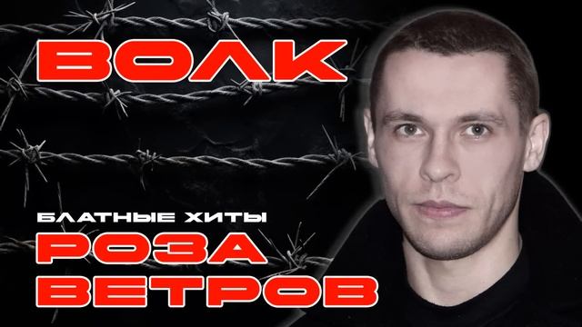 ВОЛК - Роза ветров - Блатные хиты #блатняк @blatnoe_radio