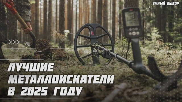 Лучшие металлоискатели в 2025 году | Какой металлоискатель купить?