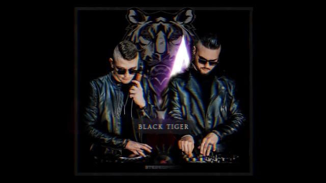 Stereoporno - Black Tiger