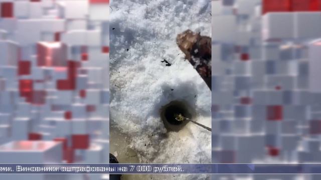 19.03.2025 Дайджест