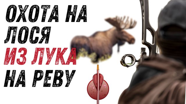 Охота на лося на вабу, на реву, гону! Охота с лука. Интереснейшая охота и очень тяжёлая.