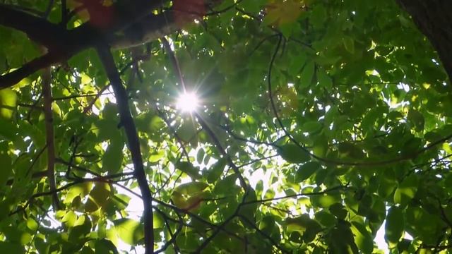 Релаксация для успокоения нервной системы