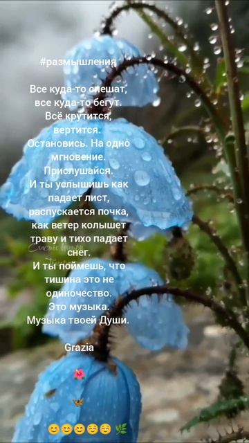Блокируя свои желания, вы перекрываете естественный путь роста.
Дипак Чопра
➖➖
Елена Митрофанова