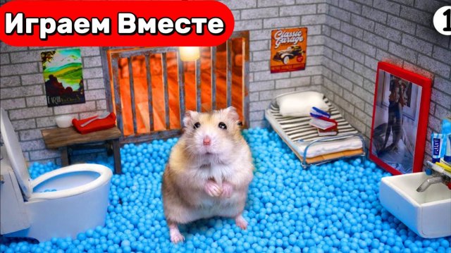Лабиринт для Хомяка ! Умный Хомяк выбирается из СЕКРЕТНОЙ ТЮРЬМЫ ДЛЯ ГЕНИАЛЬНЫХ ЖИВОТНЫХ !