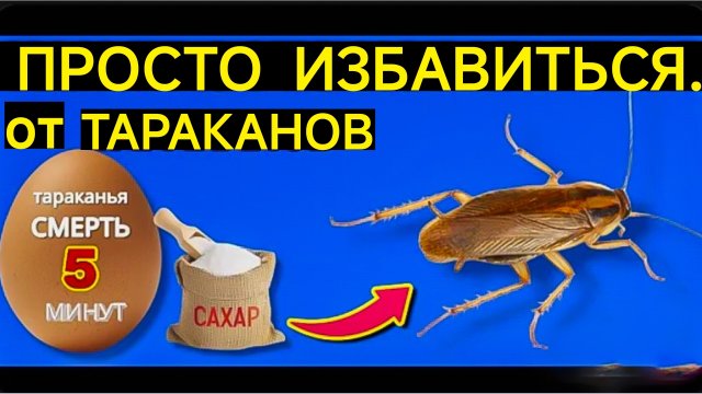 КАК ПРОСТО ИЗБАВИТЬСЯ ОТ ТАРАКАНОВ? ЗА 5 МИНУТ.ОБЫЧНЫМИ ДОМАШНИМИ СРЕДСТВАМИ.. лайфхак.