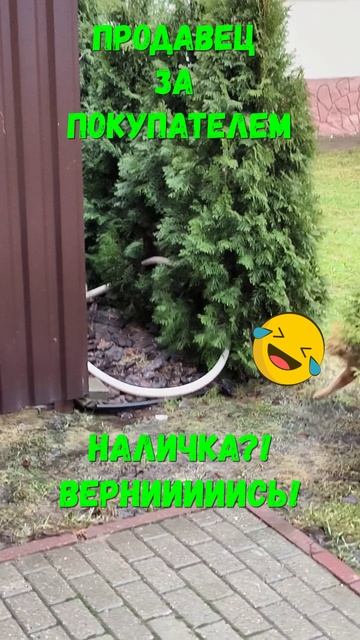 Когда у покупателя есть наличка )) #купитьквартиру #риэлтор #недвижимость #купитьдом #риелтор #юмор