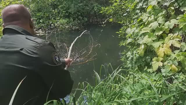 ДЕНЬ РАБАКА. ТАКОЙ РЫБАЛКИ ВЫ ЕЩЁ НЕ ВИДЕЛИ!!!
