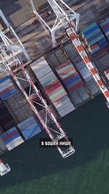 Как правильно найти надёжного перевозчика в карго доставке из Китая? #карго #cargoraptor